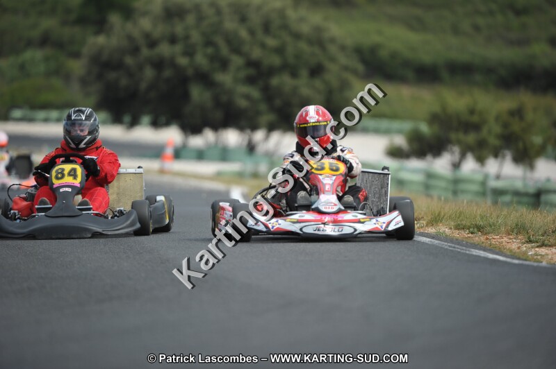 DSC (3499).JPG